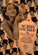 The Divorcee poster image
