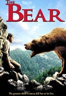 The Bear poster image