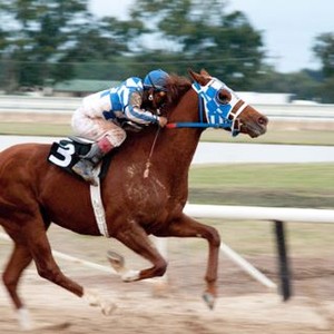 Secretariat photo 2