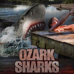 Ozark Sharks photo 1