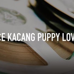 Ice Kacang Puppy Love photo 4