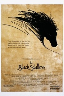 The Black Stallion poster