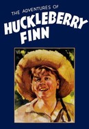 The Adventures of Huckleberry Finn poster image