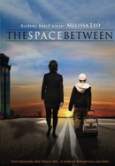 The Space Between poster image