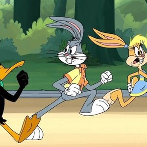 Looney tunes rabbits deals run watch online