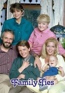 Family Ties poster image