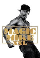 Magic Mike XXL poster image