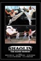 Shaolin: The Blood Mission
