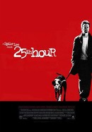 25th Hour poster image