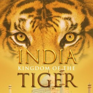 Bengal Tiger - Rotten Tomatoes