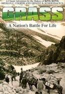 Grass: A Nation's Battle for Life poster image