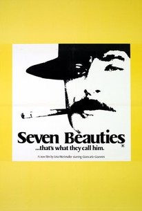 Seven Beauties poster
