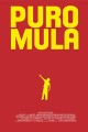 Puro mula