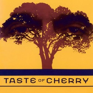 Taste of Cherry photo 10