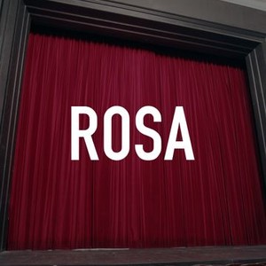 Rosa photo 2
