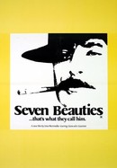 Seven Beauties poster image