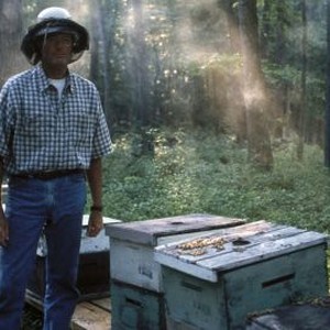 Ulee's Gold (1997)