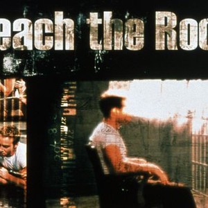 Reach the Rock photo 5