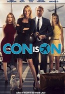 The Con Is On poster image