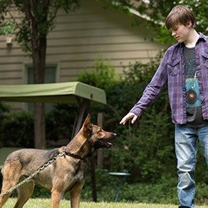 Max and Josh Wiggins as Justin Wincott in "Max." photo 17