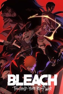 Bleach (TV) - Anime News Network