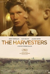 The Harvesters poster