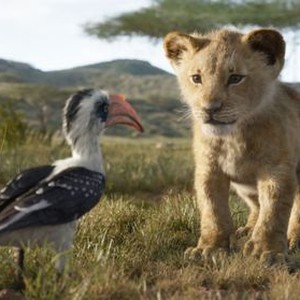 The Lion King photo 2