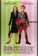 Freaky Friday poster image