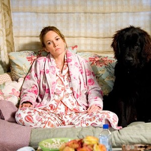 Must Love Dogs photo 6