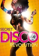The Secret Disco Revolution poster image