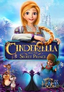Cinderella and the Secret Prince poster image