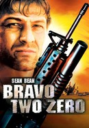 Bravo Two Zero poster image