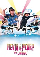 Kevin & Perry Go Large poster image