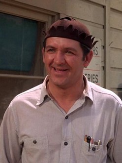 The Andy Griffith Show: Season 8, Episode 16 | Rotten Tomatoes