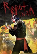 Robot Ninja poster image