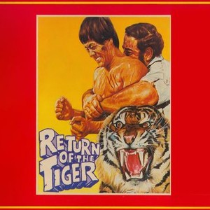 "Return of the Tiger photo 7"
