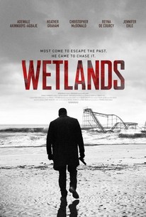 Wetlands poster
