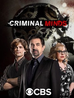 Criminal Minds Season 13 Rotten Tomatoes