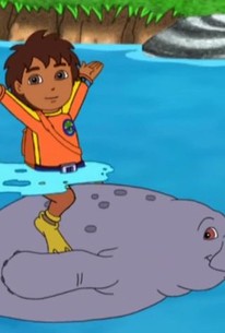 Go, Diego, Go!: Season 3, Episode 8 - Rotten Tomatoes