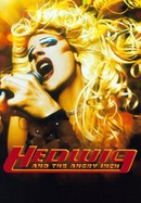 Hedwig and the Angry Inch poster image