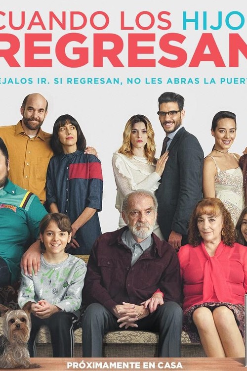 The Kids Are Back poster