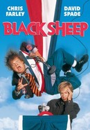 Black Sheep poster image