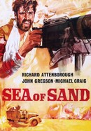 Sea of Sand poster image