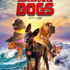 Superpower Dogs (2019) photo 6
