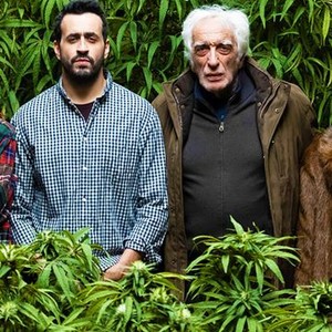 Family Business