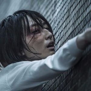 Who Killed Cock Robin? Rotten Tomatoes