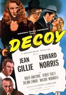 Decoy poster image
