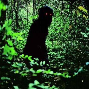 "Uncle Boonmee Who Can Recall His Past Lives photo 2"