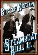 Steamboat Bill, Jr. poster image