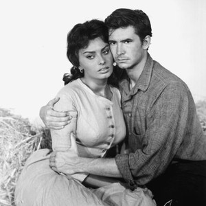 DESIRE UNDER THE ELMS, Sophia Loren, Anthony Perkins, 1958, in haystack